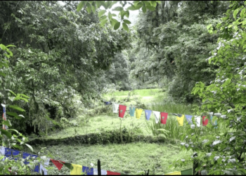 Dara Tsho revival project to start next month